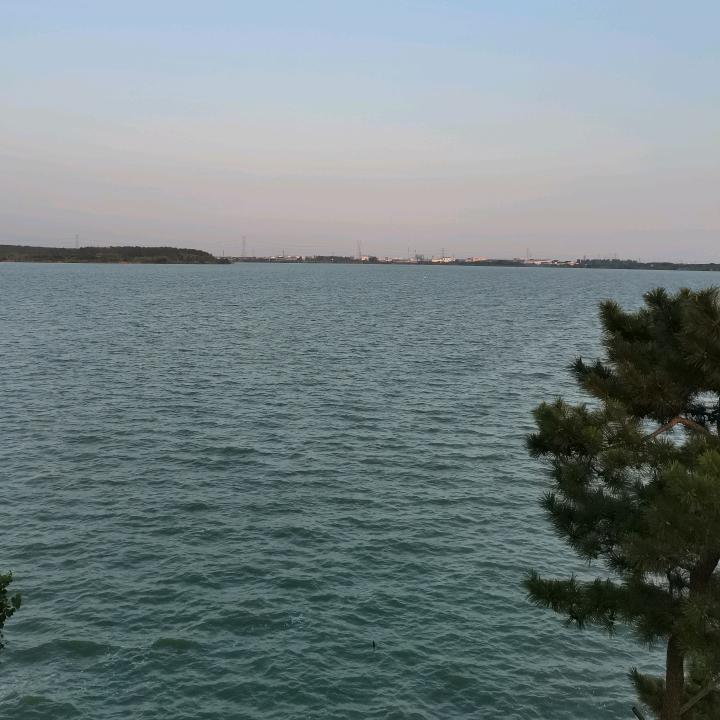 哈哈（米粒儿）