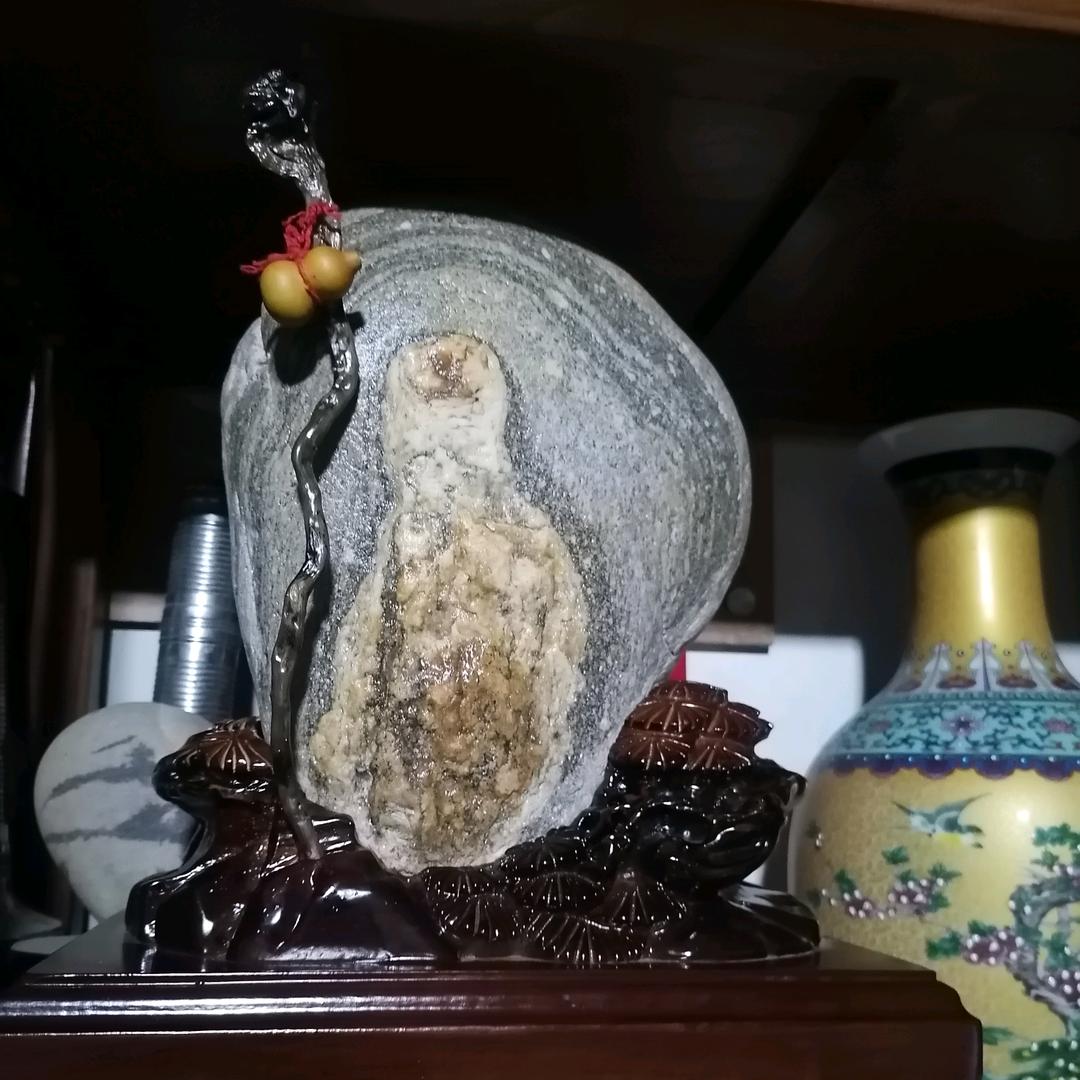 🐲辰龙得水🐉五味子