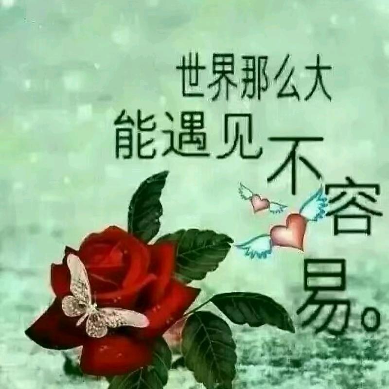 🌹᭄莉💖᭄