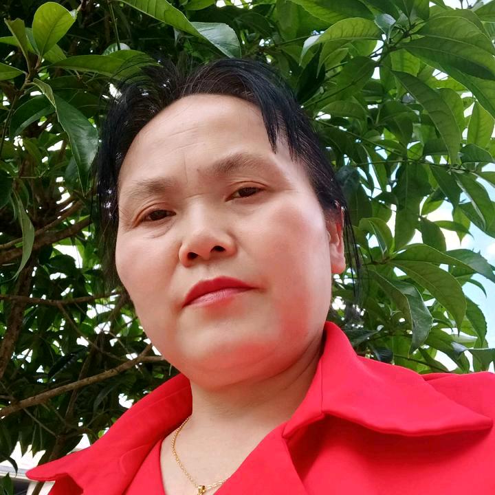 摇钱树