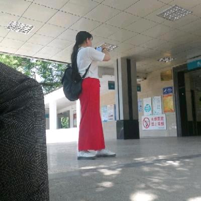红（化茧成蝶）
