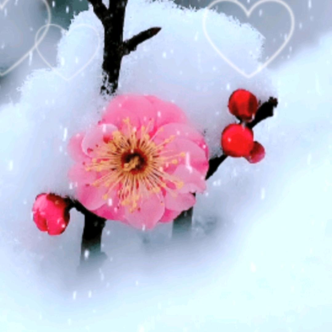 🍎安康余生🍎