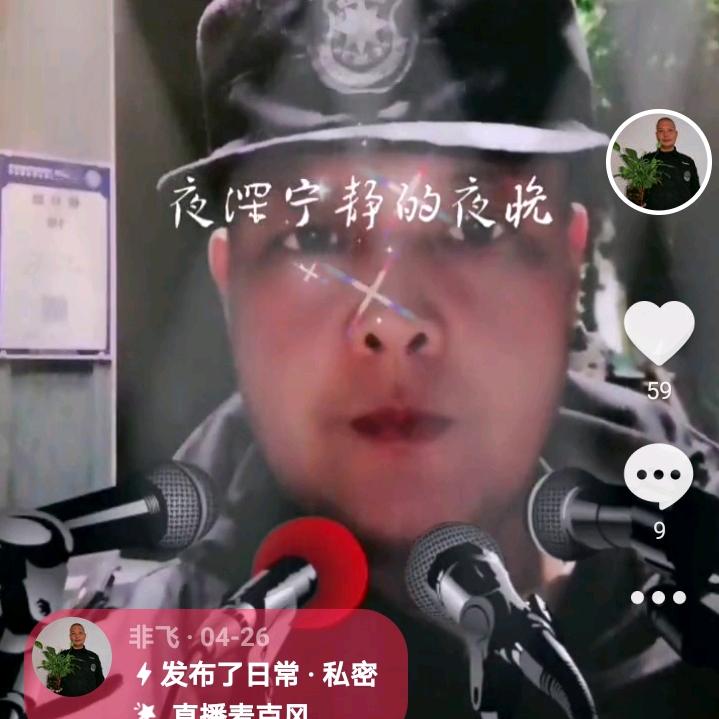 非飞