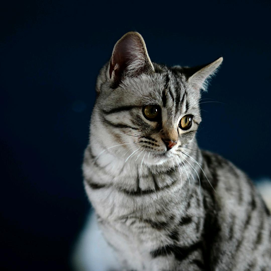 原上彩虹的乌云