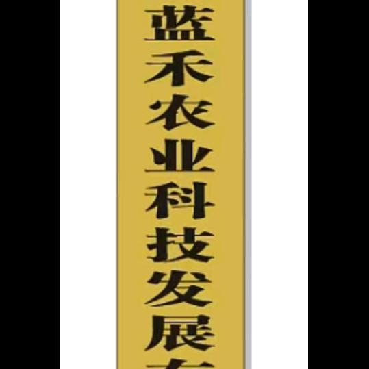 燃烧的火焰