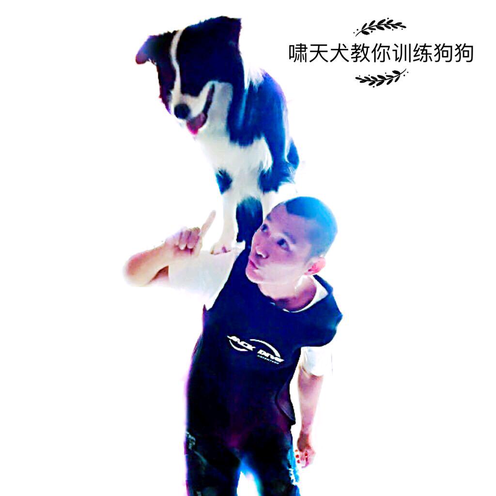 啸天犬工作室