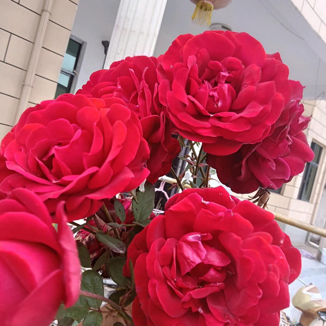 @❤️刚🌹好❤️遇🌹见❤️你🌹