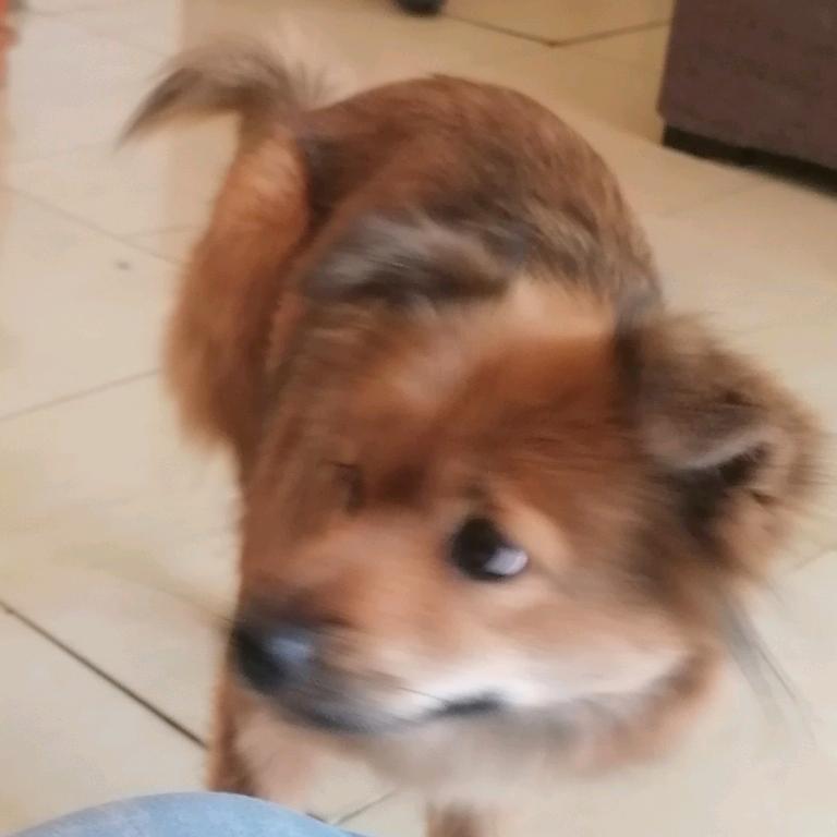 怡宝明