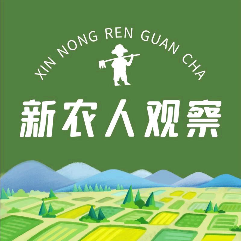 宣益果业-椰子批发（府城）