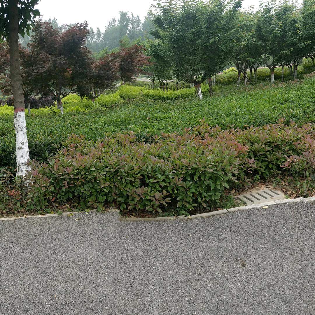 美好家园