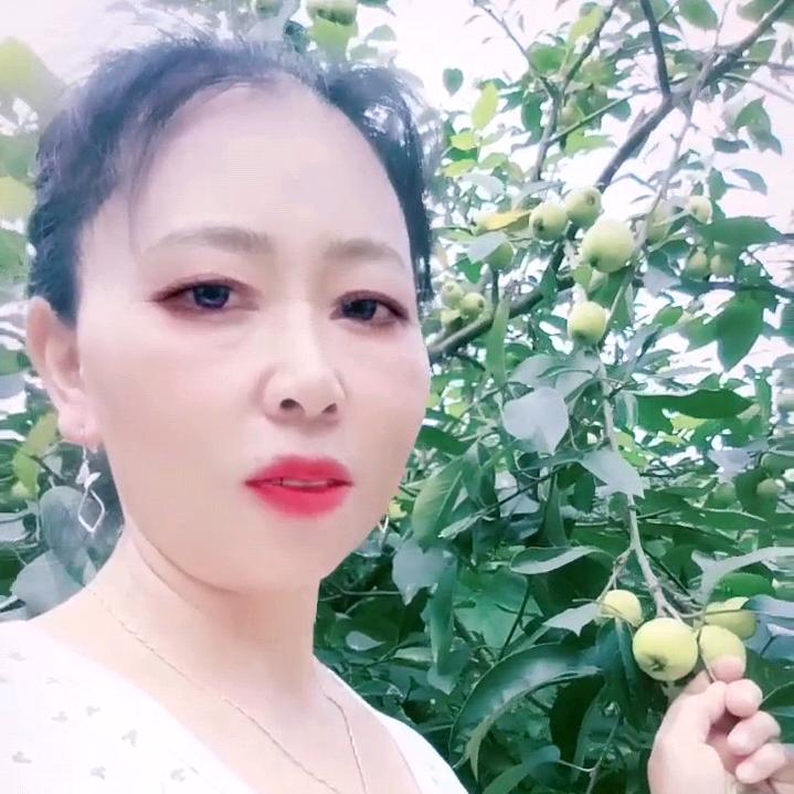 爱你不后悔