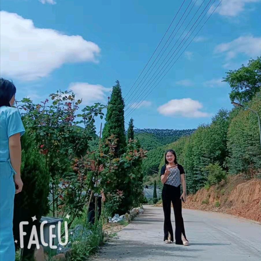 琴&宝  &贝（橱窗有好物）