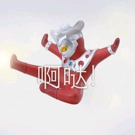 风雨梧桐之火烈鸟