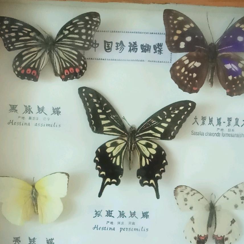 一生中错误🍺🍺