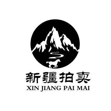 新疆资产拍卖网