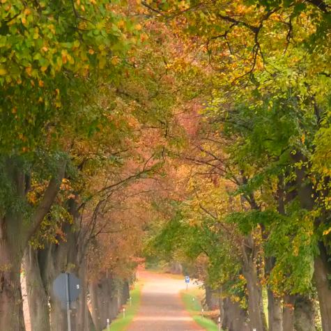 爱我就别伤害我