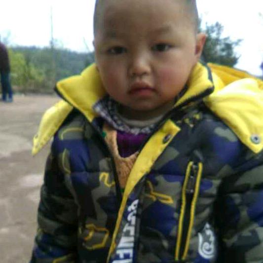 法王寺镇喻明强