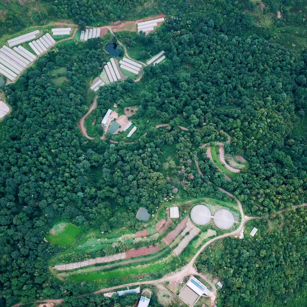 高原有机生活家