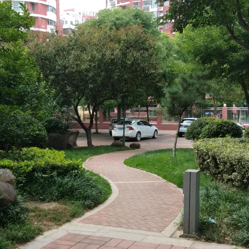 我不后悔