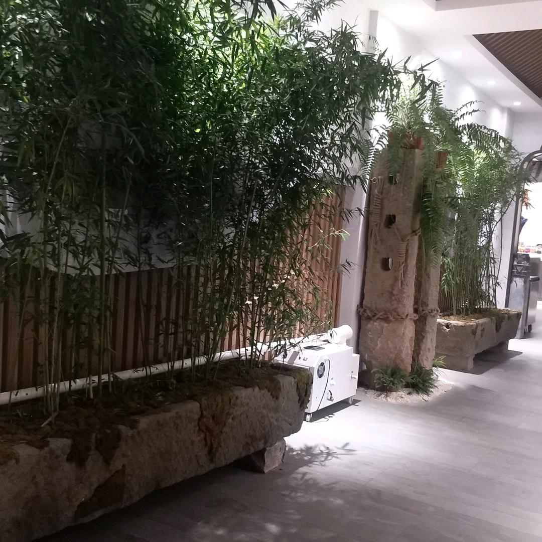不想输就别懒