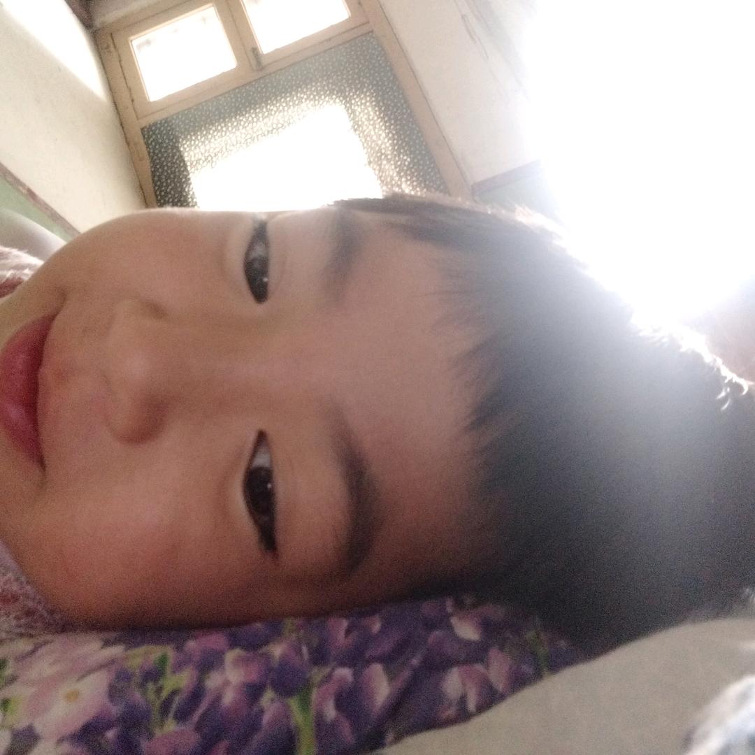 雄雄