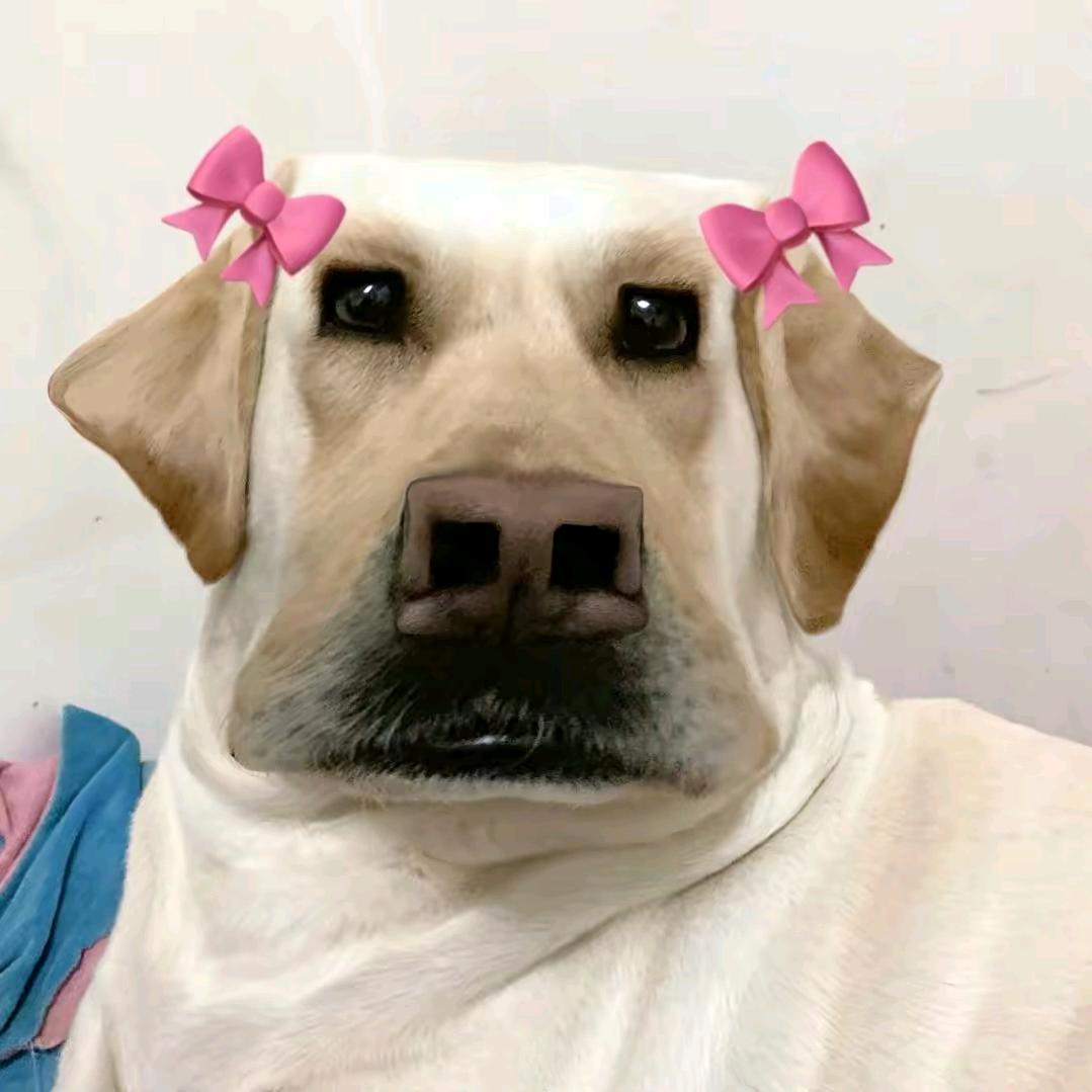 鱼缸特价处理@2