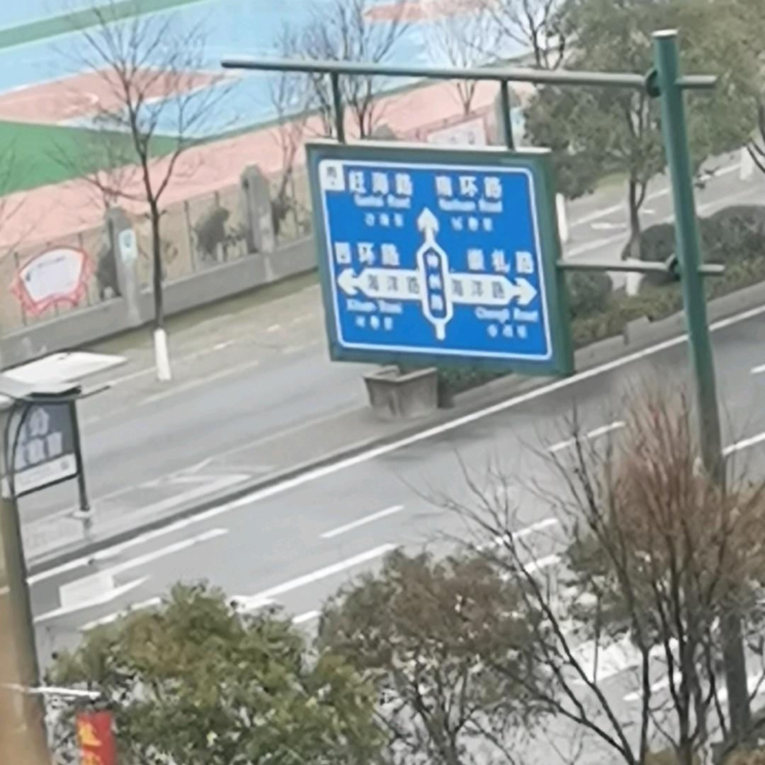 w为你留下520 牛老了