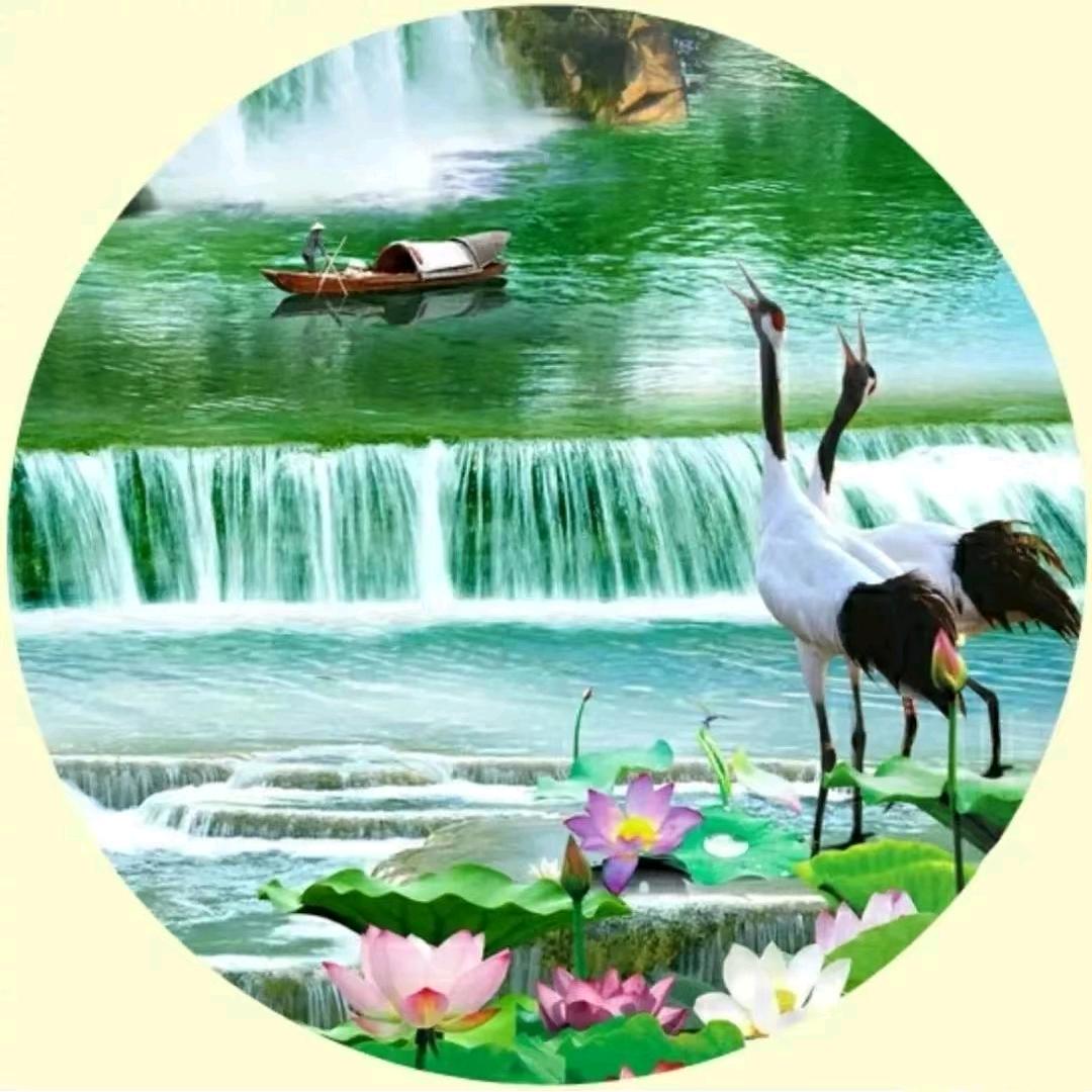 AAA家电维修刘姐