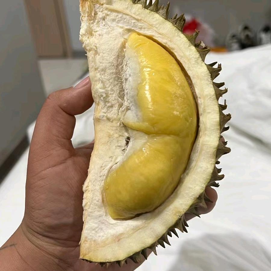 榴莲专家