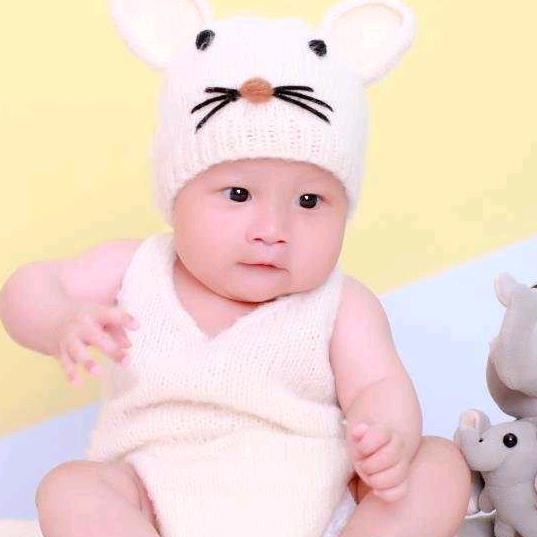 杨花
