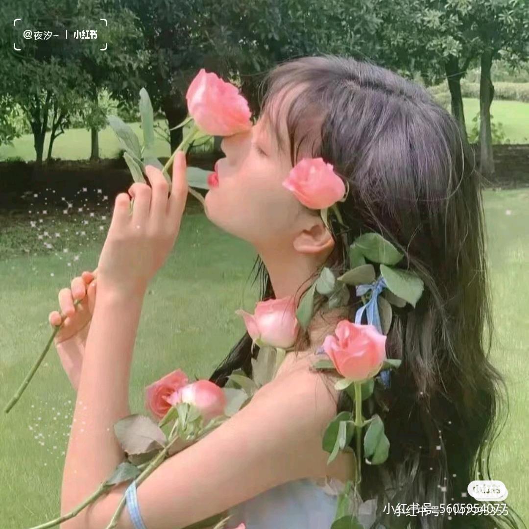 你融了我的冰心
