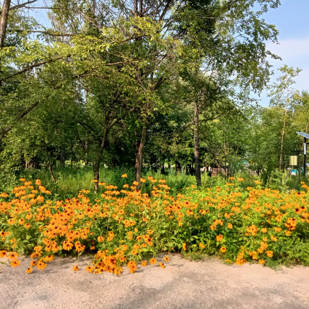 彩虹🌈🥑婉儿