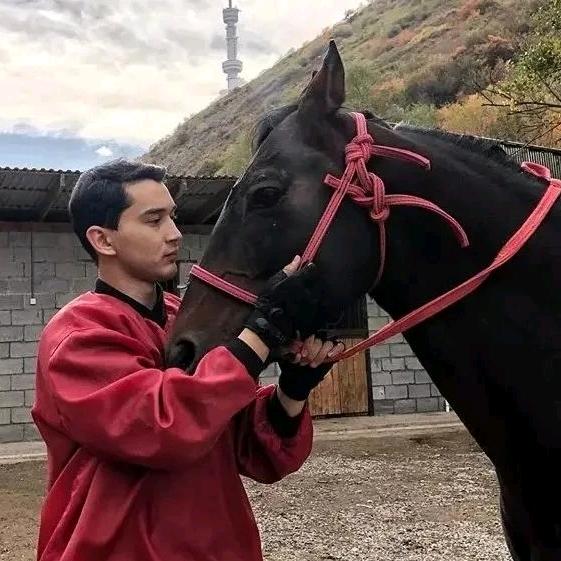 叶尔太
