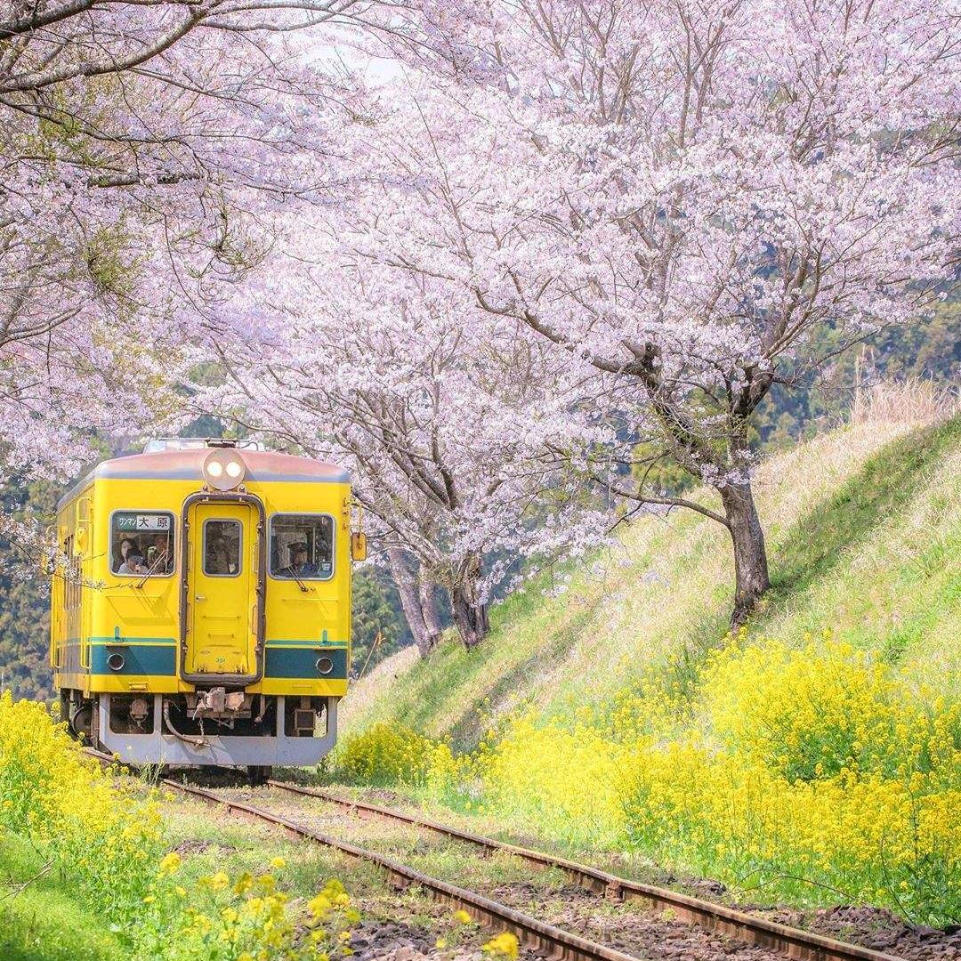 一辆旅行的列车#^_^#