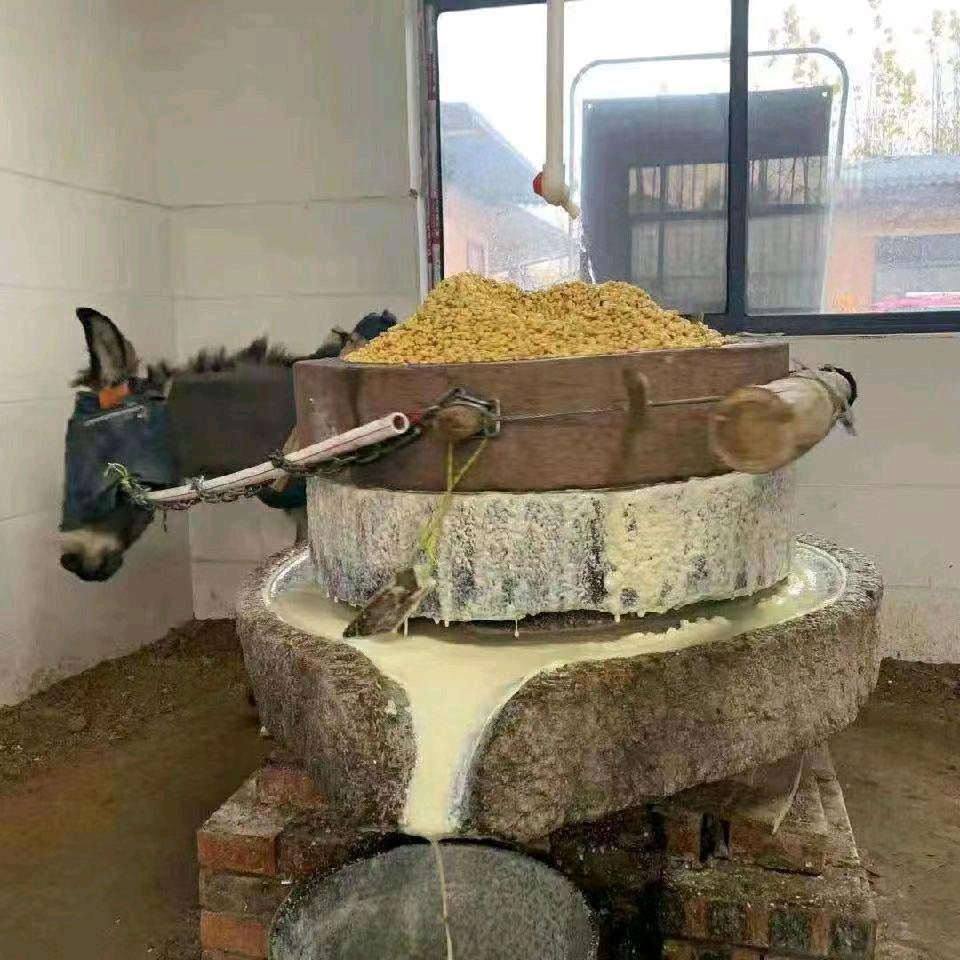 豆腐姐