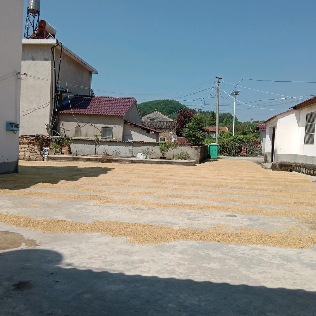 用户3885448837867武山功夫茶