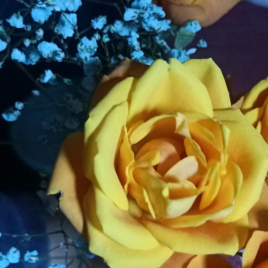 🌈辜负前生！！