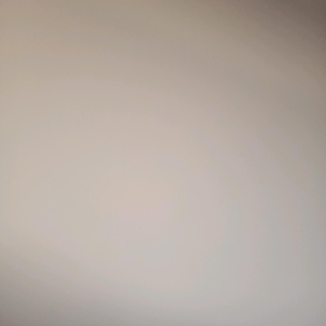 SS