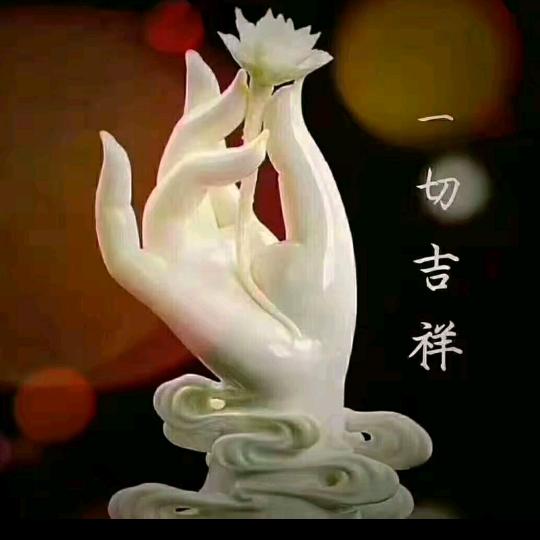 《玫瑰雪》