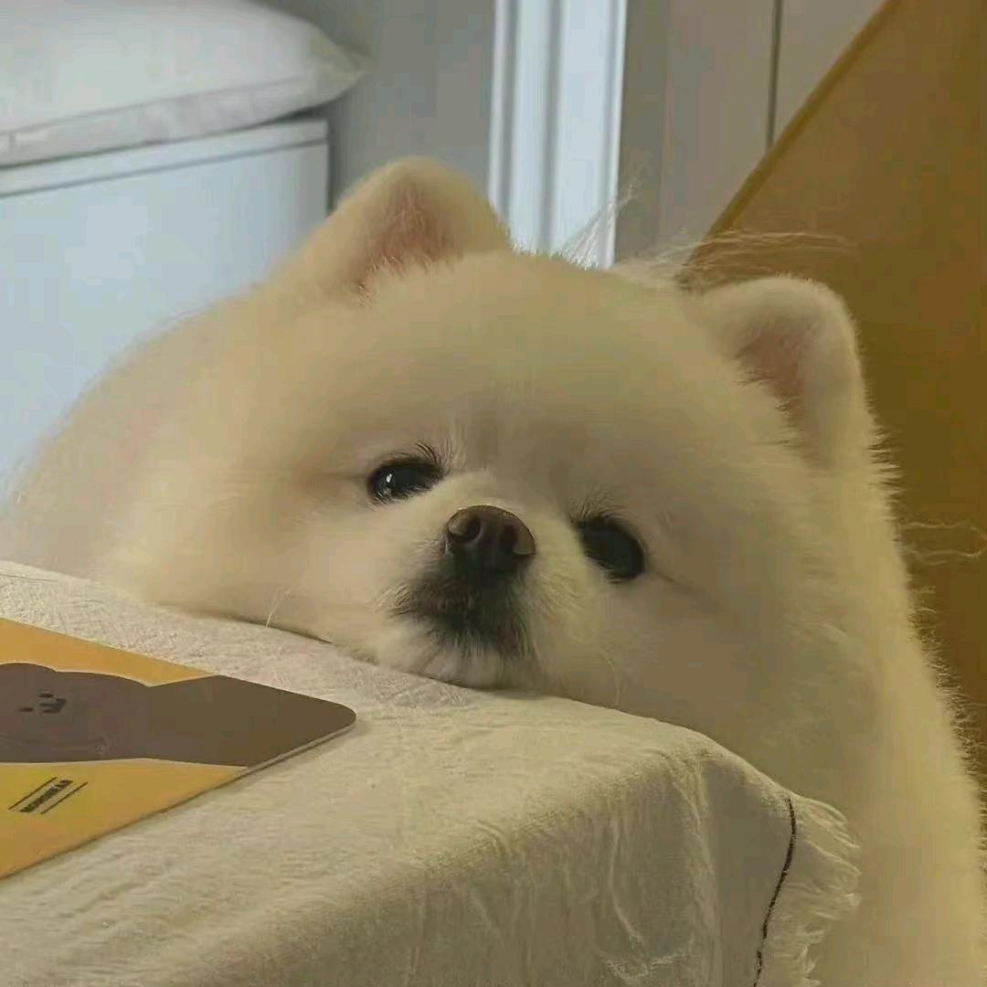 小周呀