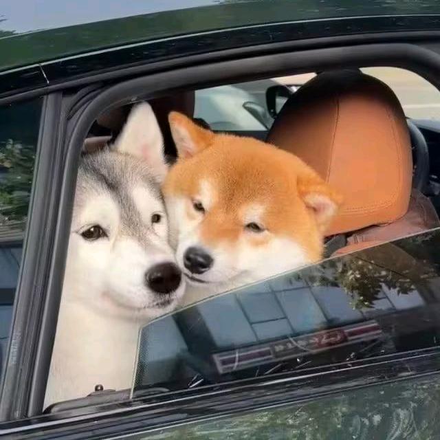 闯儿