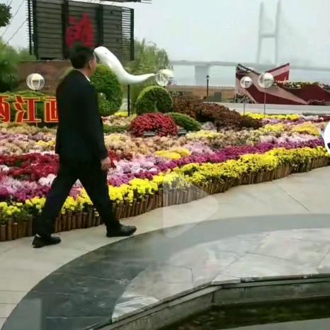 嘟啦😎