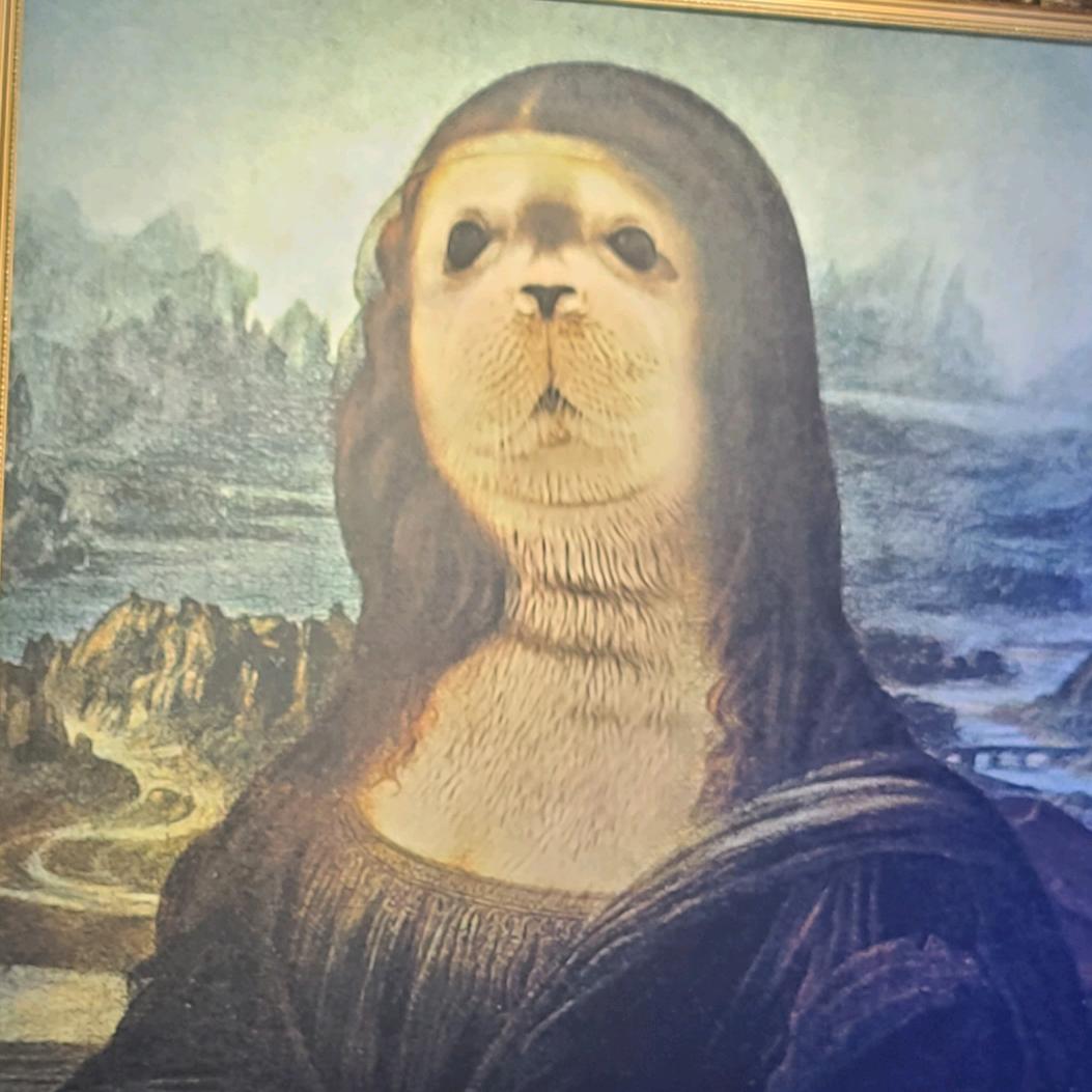 杉杉是个小太阳