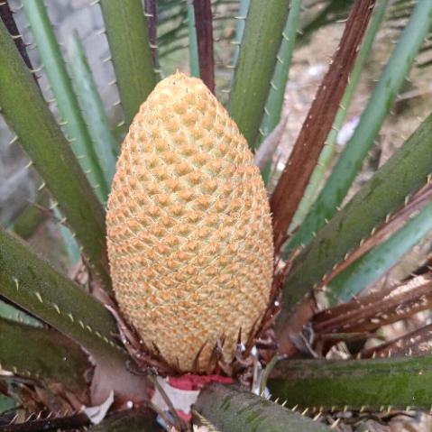 我还是原来的我