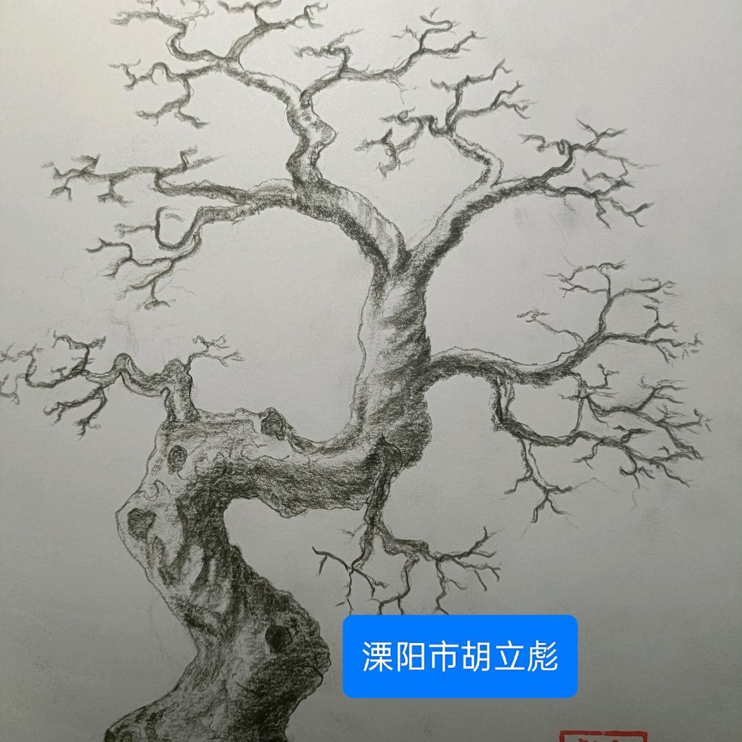 溧阳市君恒造型树之家