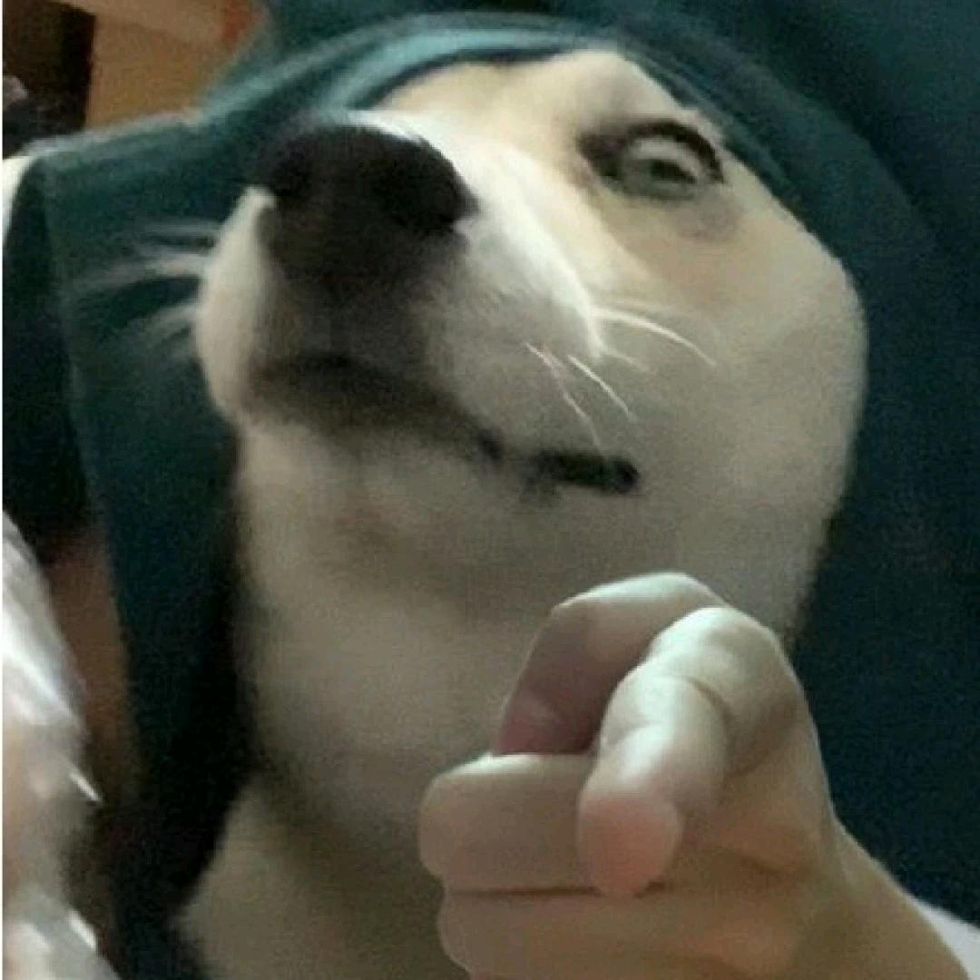 whiteA