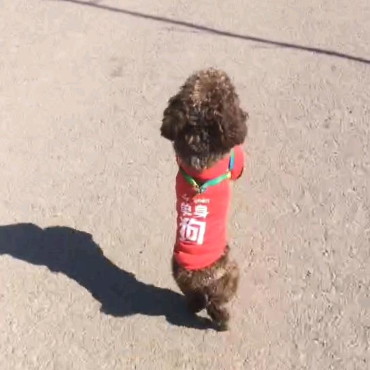 觉醒者