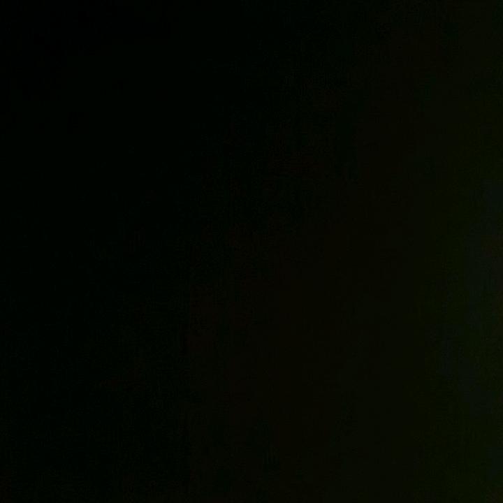 斗魂高手