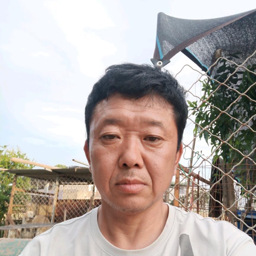 专业通下水道抽化粪池