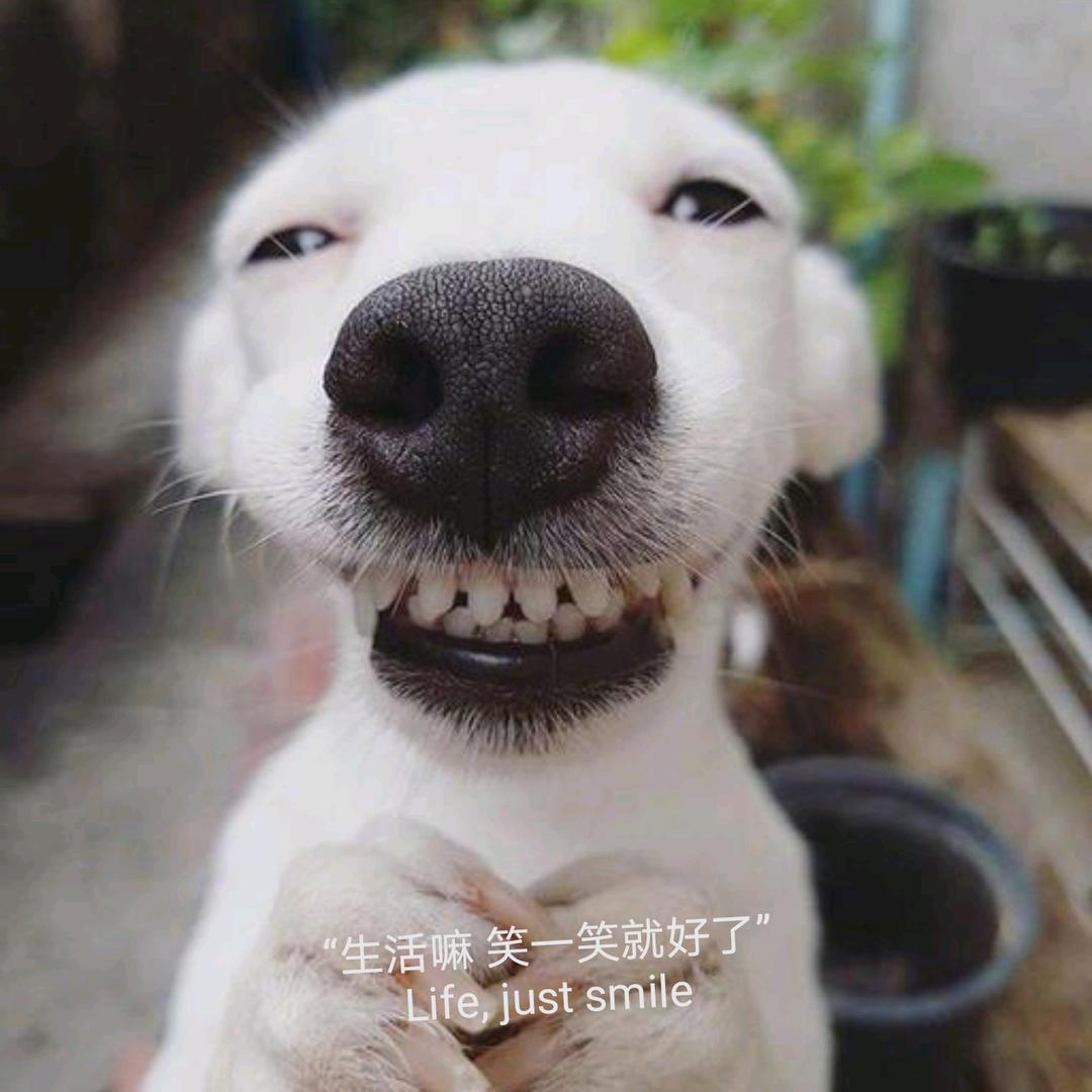 丶倒刺鲃克星